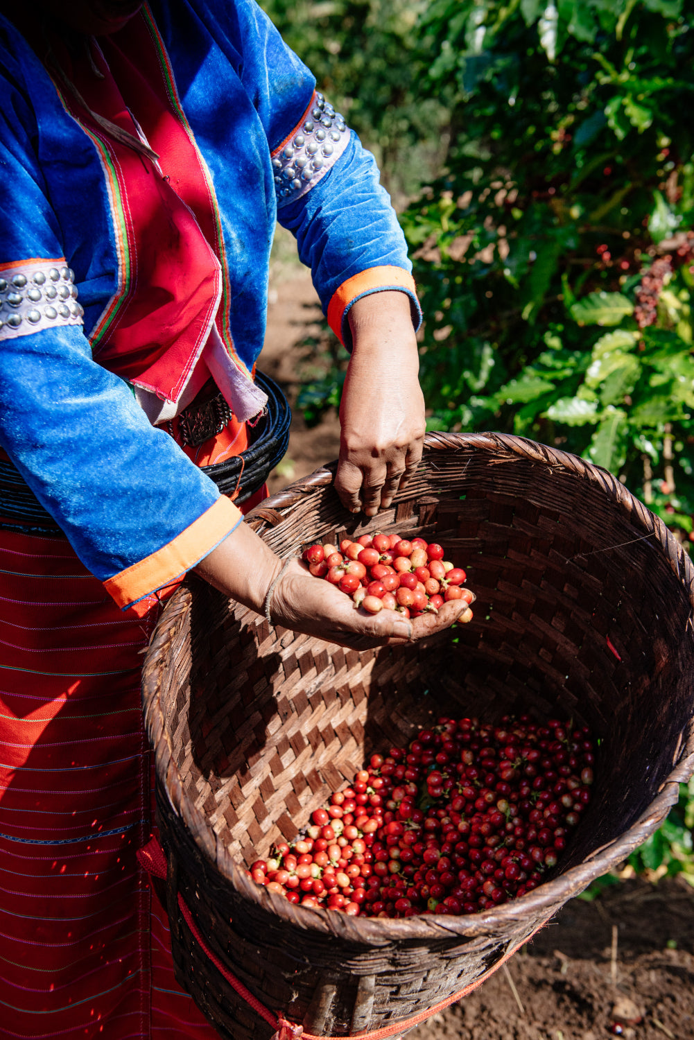 History of Viet Coffee